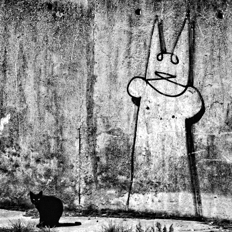 XI Wielki Konkurs Fotograficzny National Geographic, Wyróżnienie w kat. Xperiastreet Photo, "Graficiarz i jego dzieło", fot. Jerzy Poprawa


Spacerując z żoną obok portu na Helu, zauważyliśmy spore graffiti, a obok siedzącego czarnego kota. Jako że graffiti prezentowało coś kotopodobnego, nietrudno było o skojarzenie, że to właśnie ów osobnik jest jego autorem.